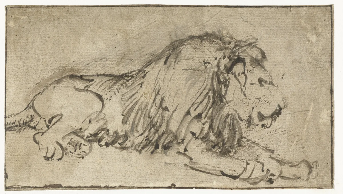 Liggende leeuw by Rembrandt van Rijn, drawing, 1660
