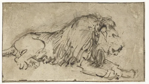 Liggende leeuw by Rembrandt van Rijn, drawing, 1660