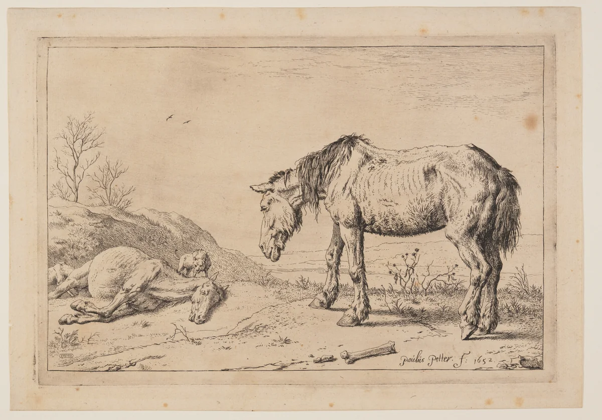 The Worn-Out Horse, (La Mazette), from Series of Horses by Paulus Potter, print, 1652