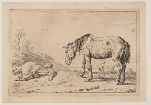 The Worn-Out Horse, (La Mazette), from Series of Horses by Paulus Potter, print, 1652