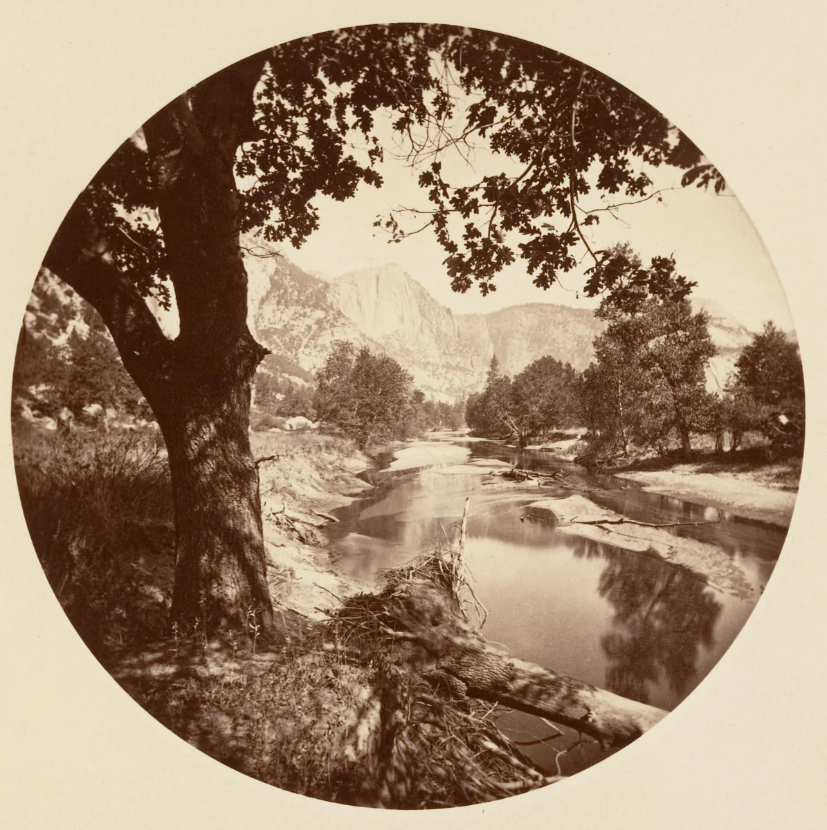 [Yosemite National Park, California] by Carleton E. Watkins, photograph, 1876-1880