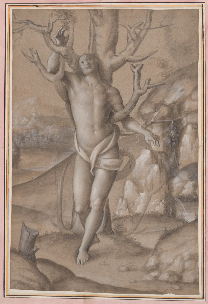 Saint Sebastian by Gerolamo Giovenone, drawing, 1520-1530