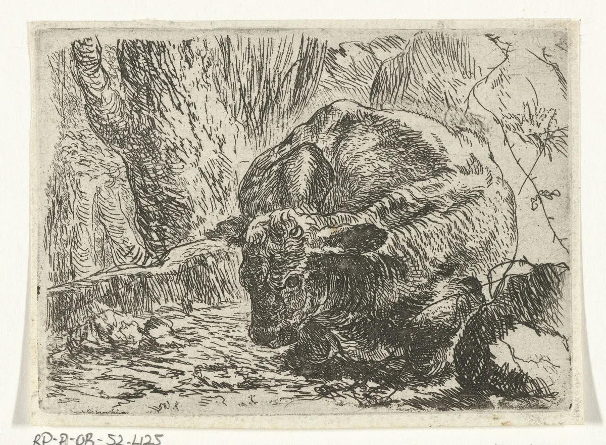 Koe by Joannes Fijt, print, 1621-1661