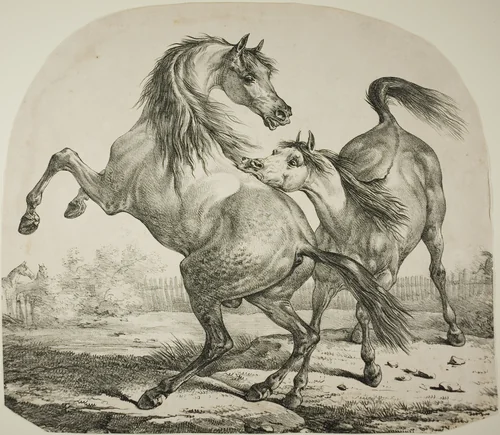 Wild Horses Fighting by Carle Vernet, print, 1815-1825