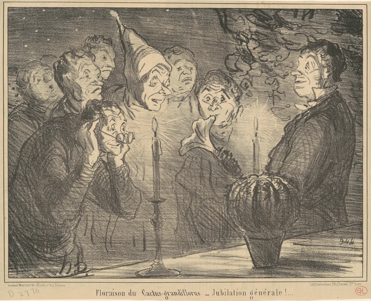 Floraison du Cactus-grandiflorus... by Honoré Daumier, print, 1856