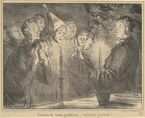 Floraison du Cactus-grandiflorus... by Honoré Daumier, print, 1856