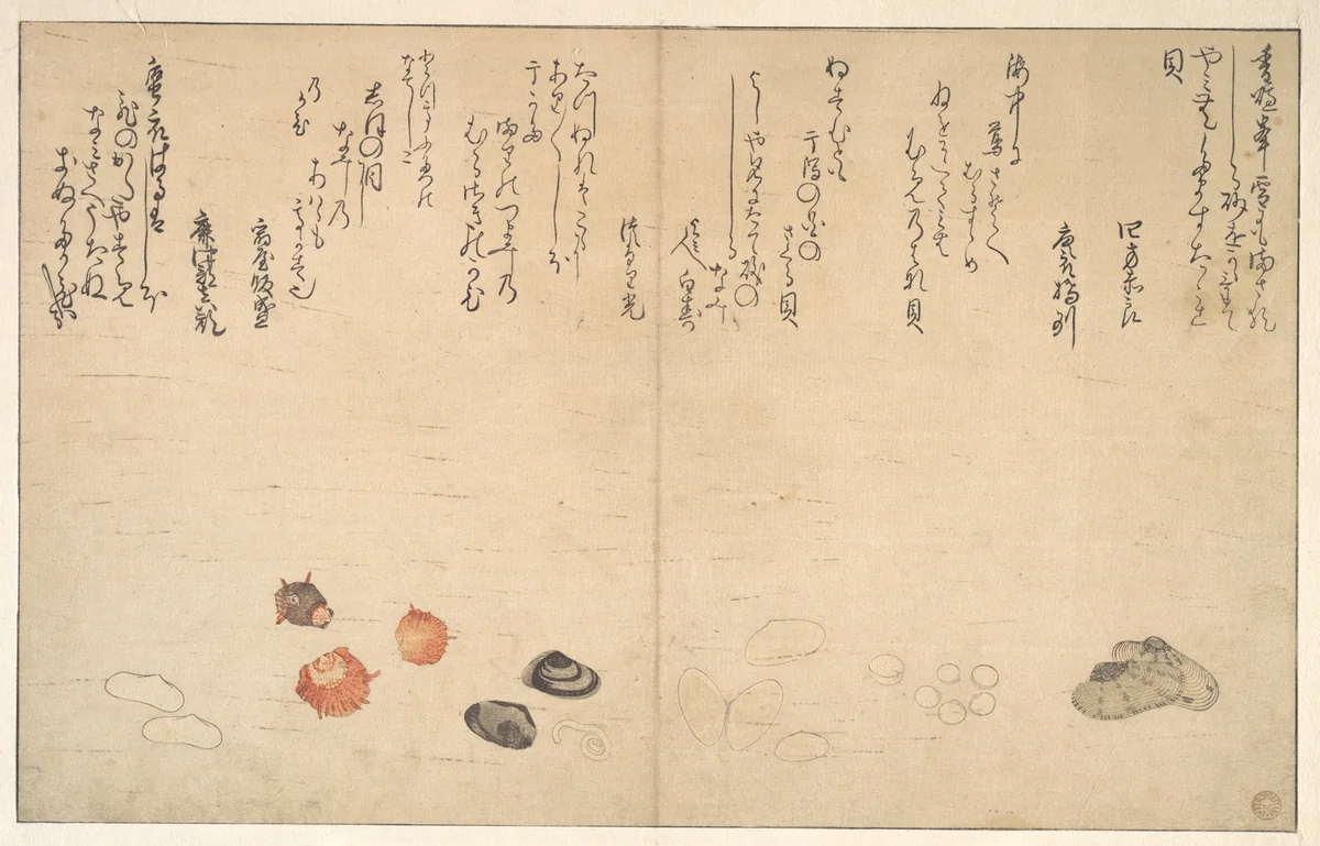 Shells under Water by Kitagawa Utamaro (喜多川歌麿), print, 1790
