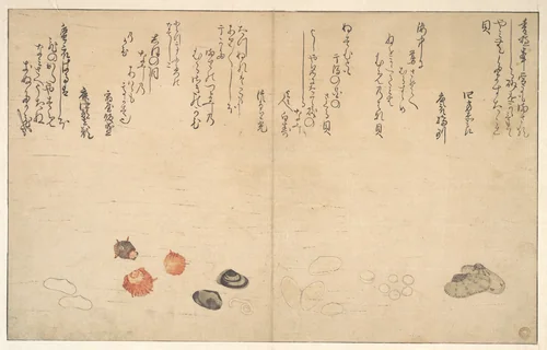 Shells under Water by Kitagawa Utamaro (喜多川歌麿), print, 1790