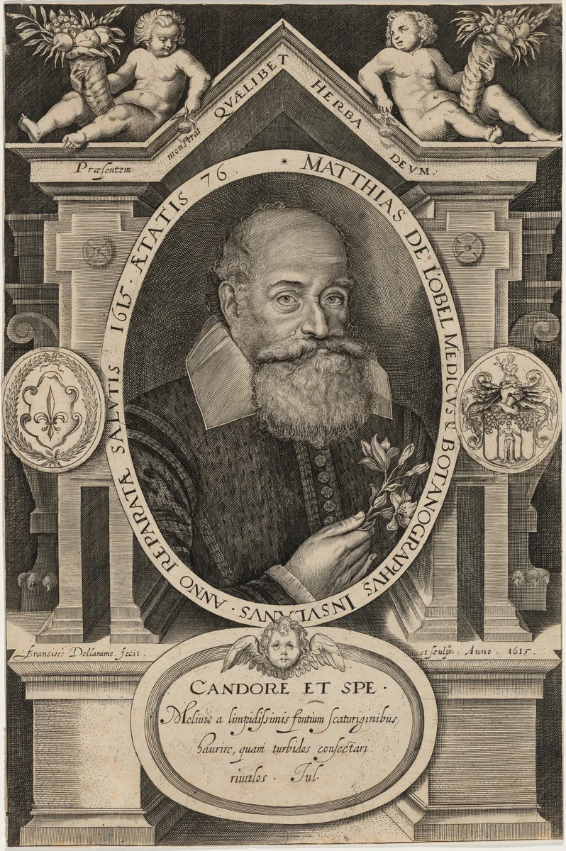 Matthias de L'Obel by Francis Delaram, print, 1615