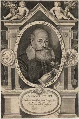 Matthias de L'Obel by Francis Delaram, print, 1615