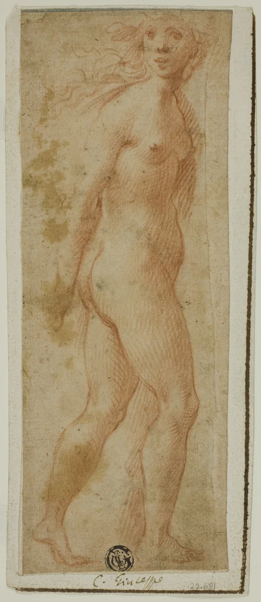 Proserpina by Giuseppe Cesari
Fiorentino Rosso, drawing, 1588-1640
