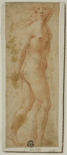 Proserpina by Giuseppe Cesari
Fiorentino Rosso, drawing, 1588-1640