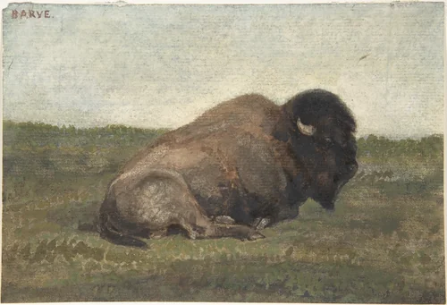 Bison Lying Down by Antoine-Louis Barye, drawing, 1810-1875
