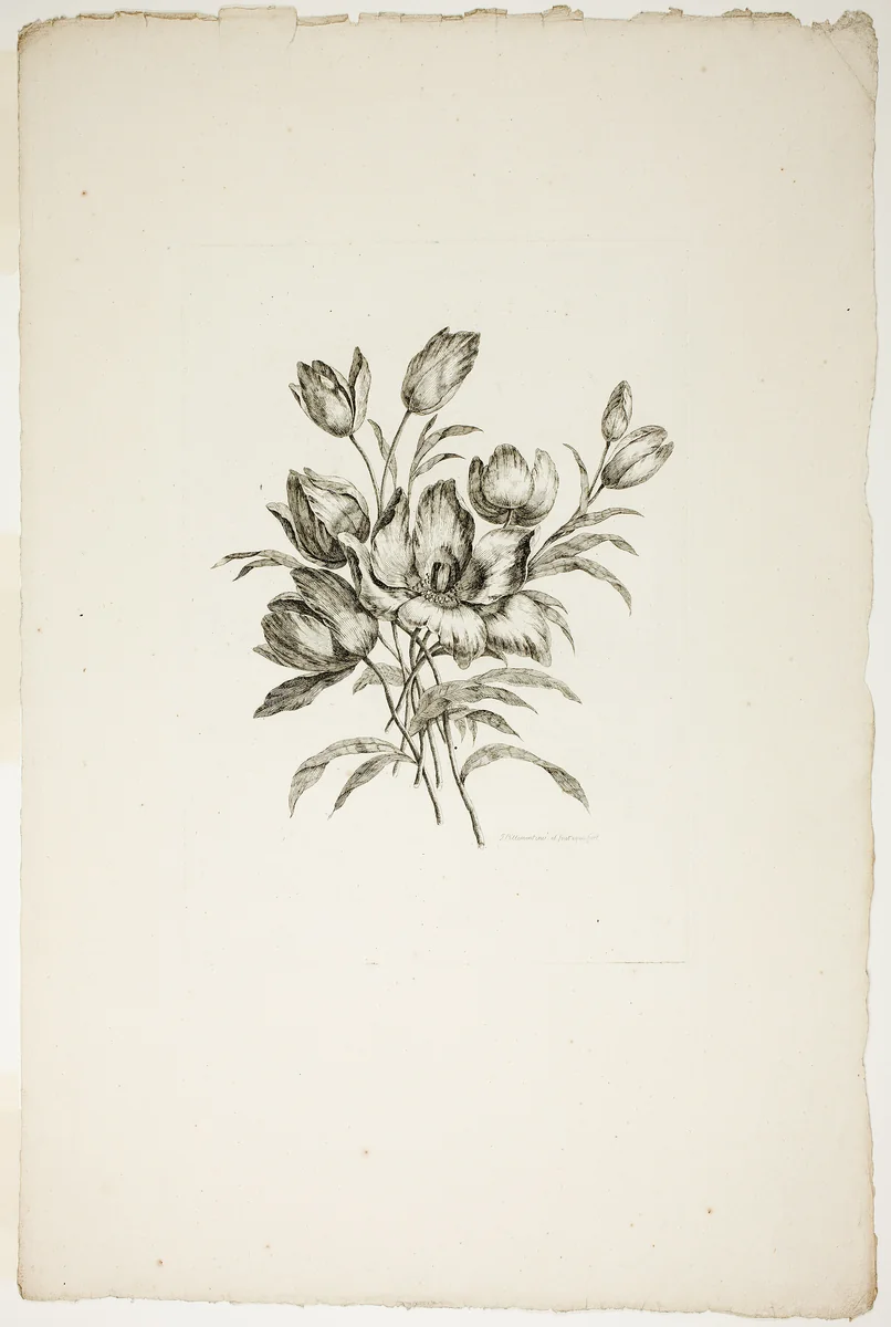 Bouquet with Tulips, from Collection of Different Bouquets of Flowers, Invented and Drawn by Jean Pillement and Engraved by P. C. Canot by Pierre-Charles Canot, print, 1760