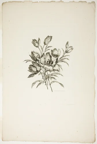 Bouquet with Tulips, from Collection of Different Bouquets of Flowers, Invented and Drawn by Jean Pillement and Engraved by P. C. Canot by Pierre-Charles Canot, print, 1760
