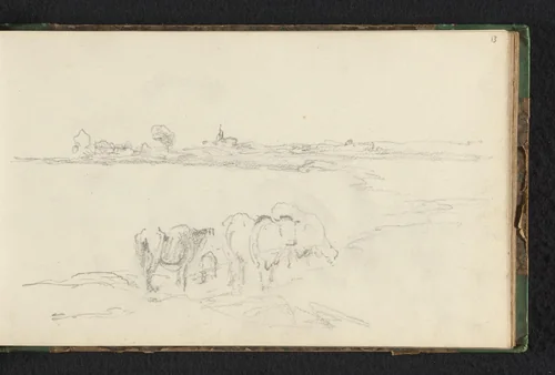 Weide met koeien by Jan Bedijs Tom, drawing, 1823-1894