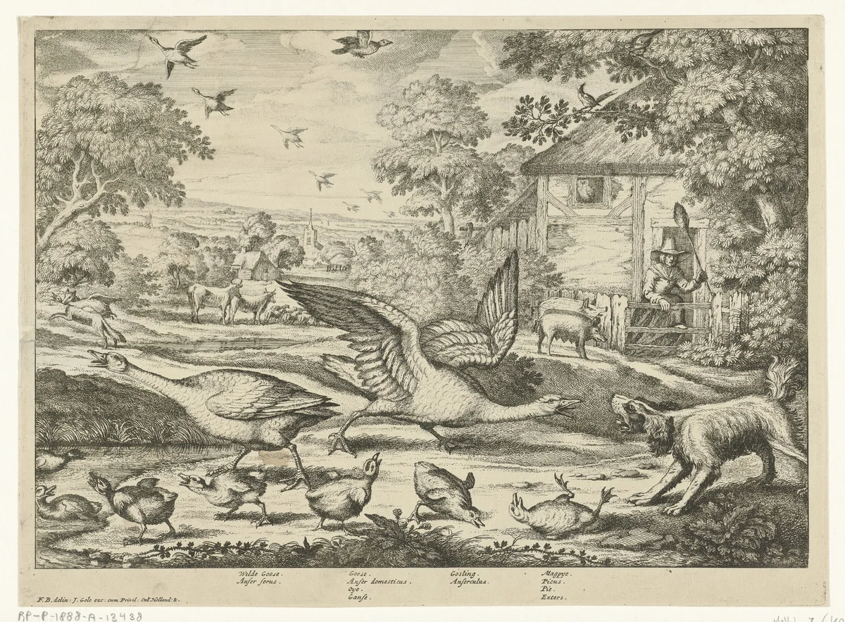 Landschap met twee ganzen die hun jongen verdedigen by Jan Griffier, print, 1670-1724