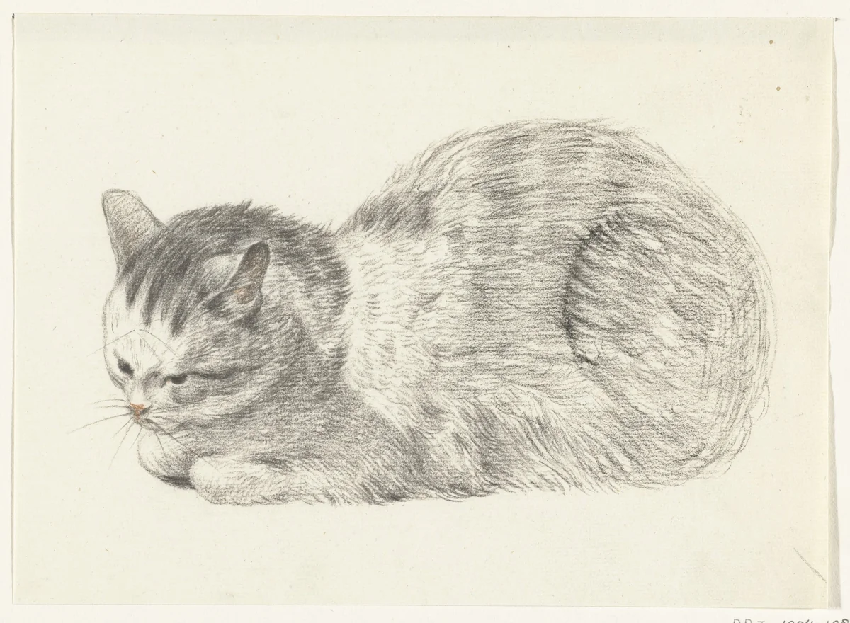 Liggende kat, naar links by Jean Bernard, drawing, 1775-1833