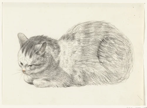 Liggende kat, naar links by Jean Bernard, drawing, 1775-1833