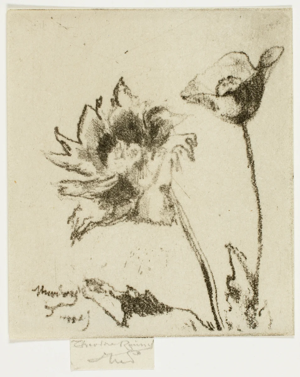 Two Flowers by Theodore Roussel, print, 1890-1895