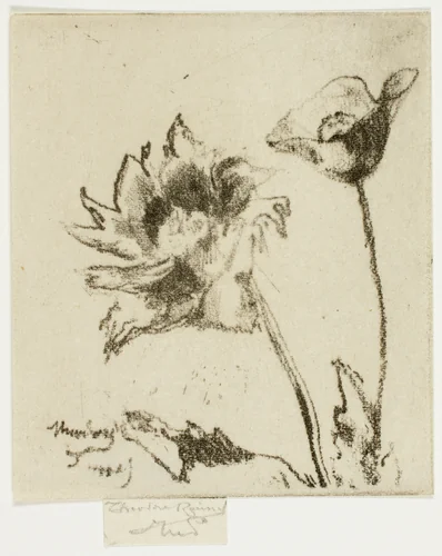 Two Flowers by Theodore Roussel, print, 1890-1895